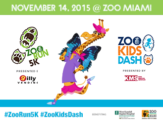 6ba09f4fee2358a9557fb8ba774bd0e012113520