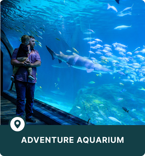 6f7dbdd164f5143287cf14a265989b3c806f4e99