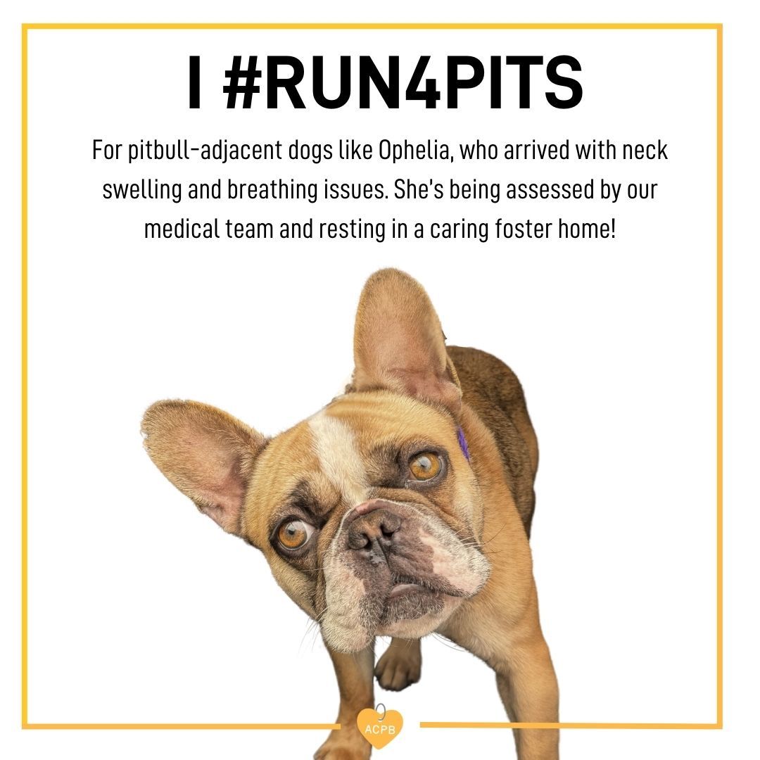 70cde66c2e2f50ceafed5ad7dbe4170bea3afd4d