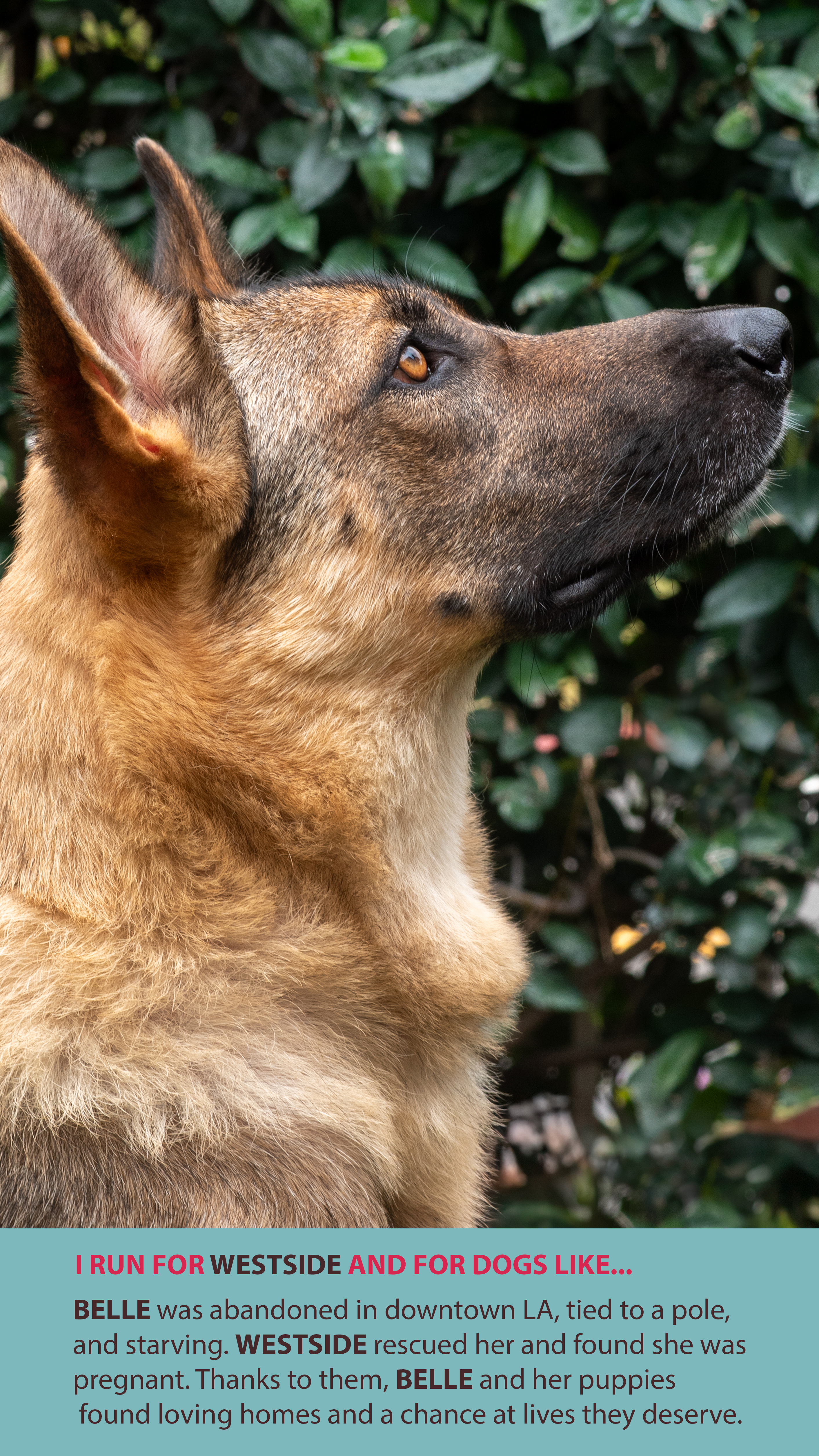 70e297caee3ca39390effe35695cd9207249aef8