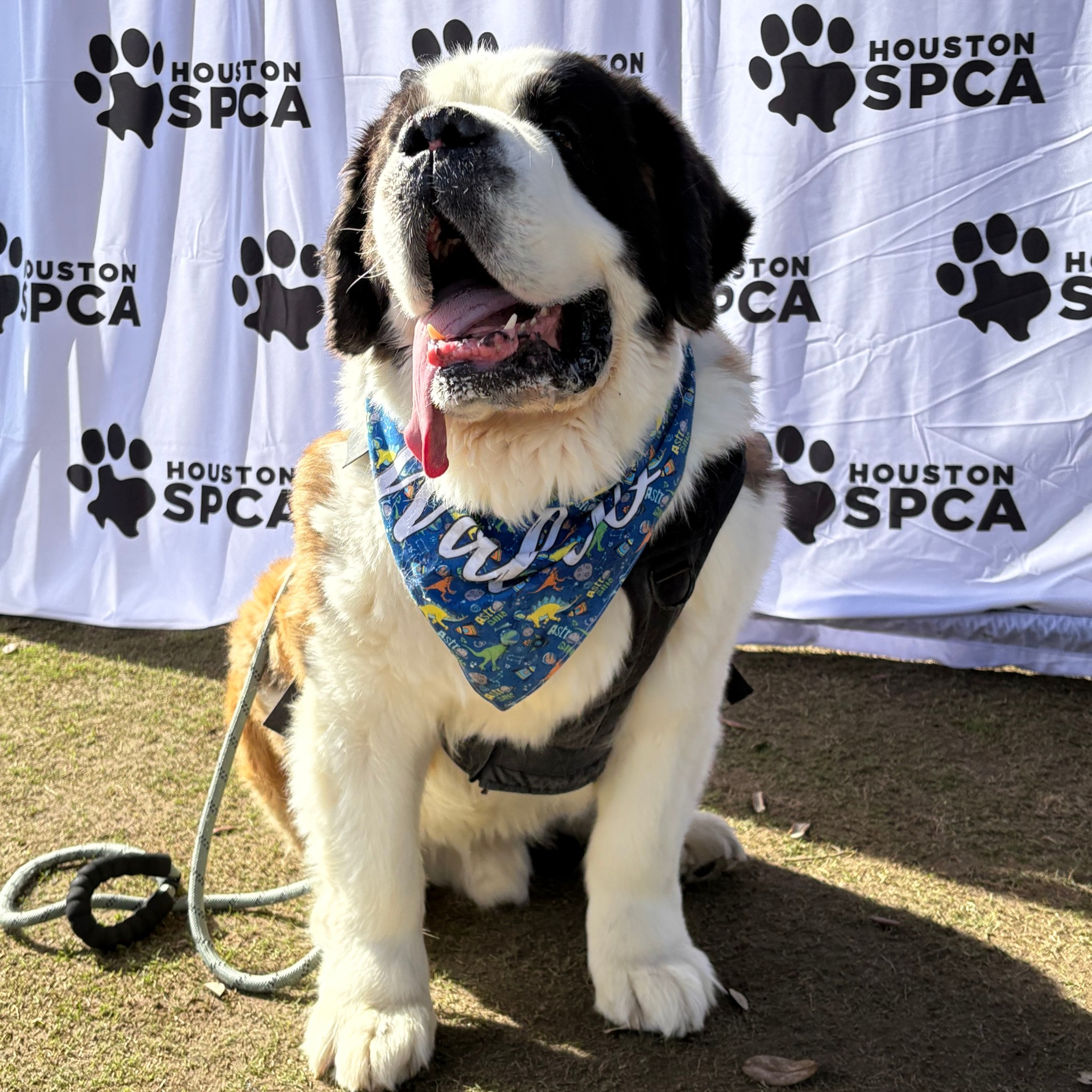 71d97d14fb04154c617499544336e98e47796547