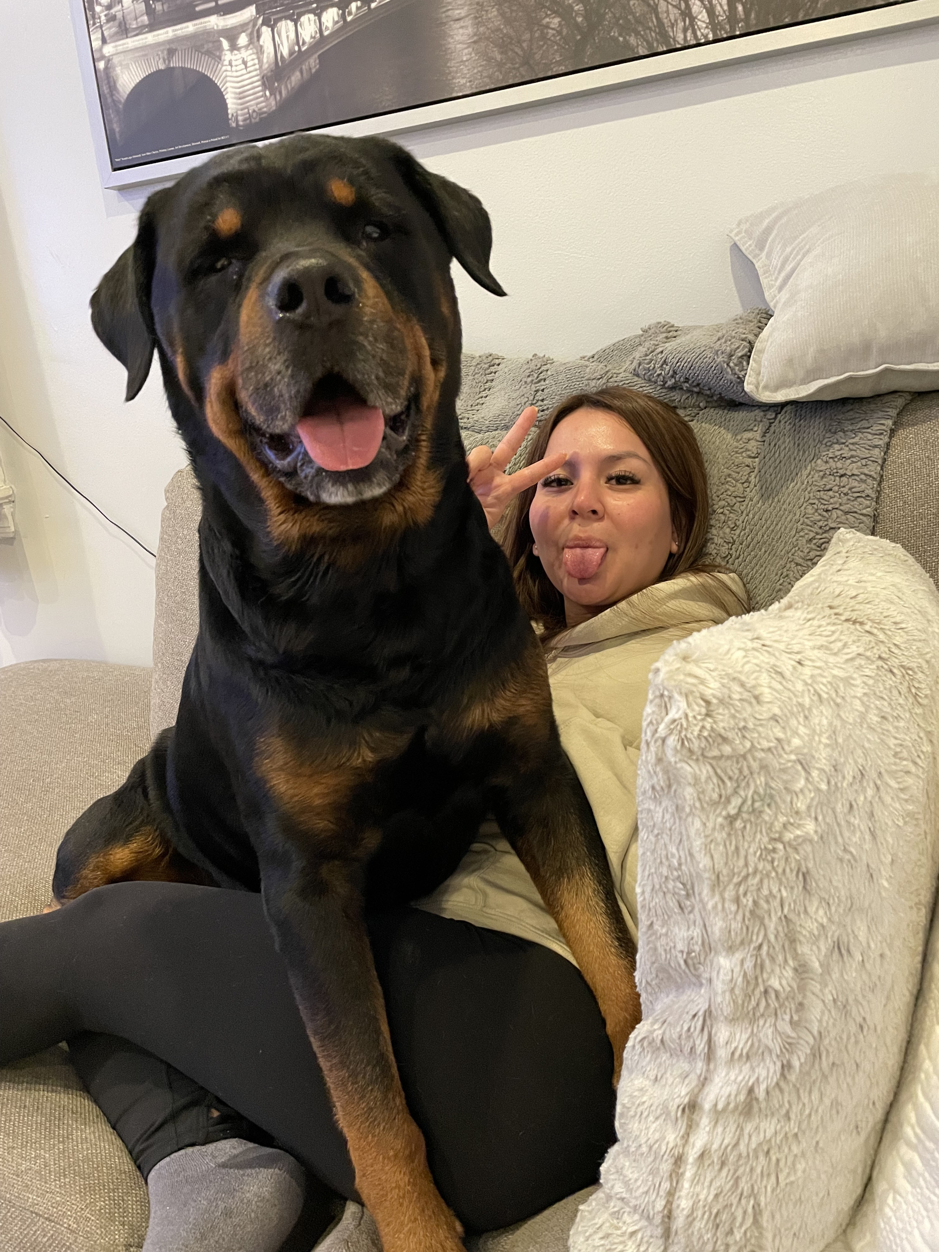 7242d8f834a386ce7c5fb2dece77474309dee9ad