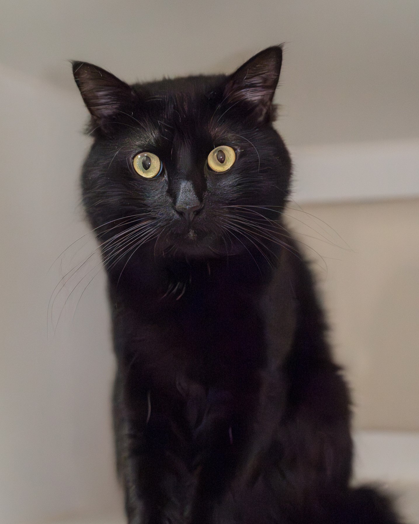 7384a370f244147dc3aad2382a175c61186bdd77