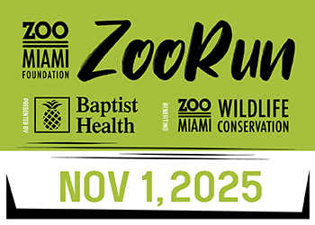 7490d6982ee1569b8da643c1a2840db4f2750c5e