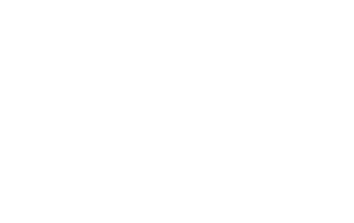 Wildflower Experience