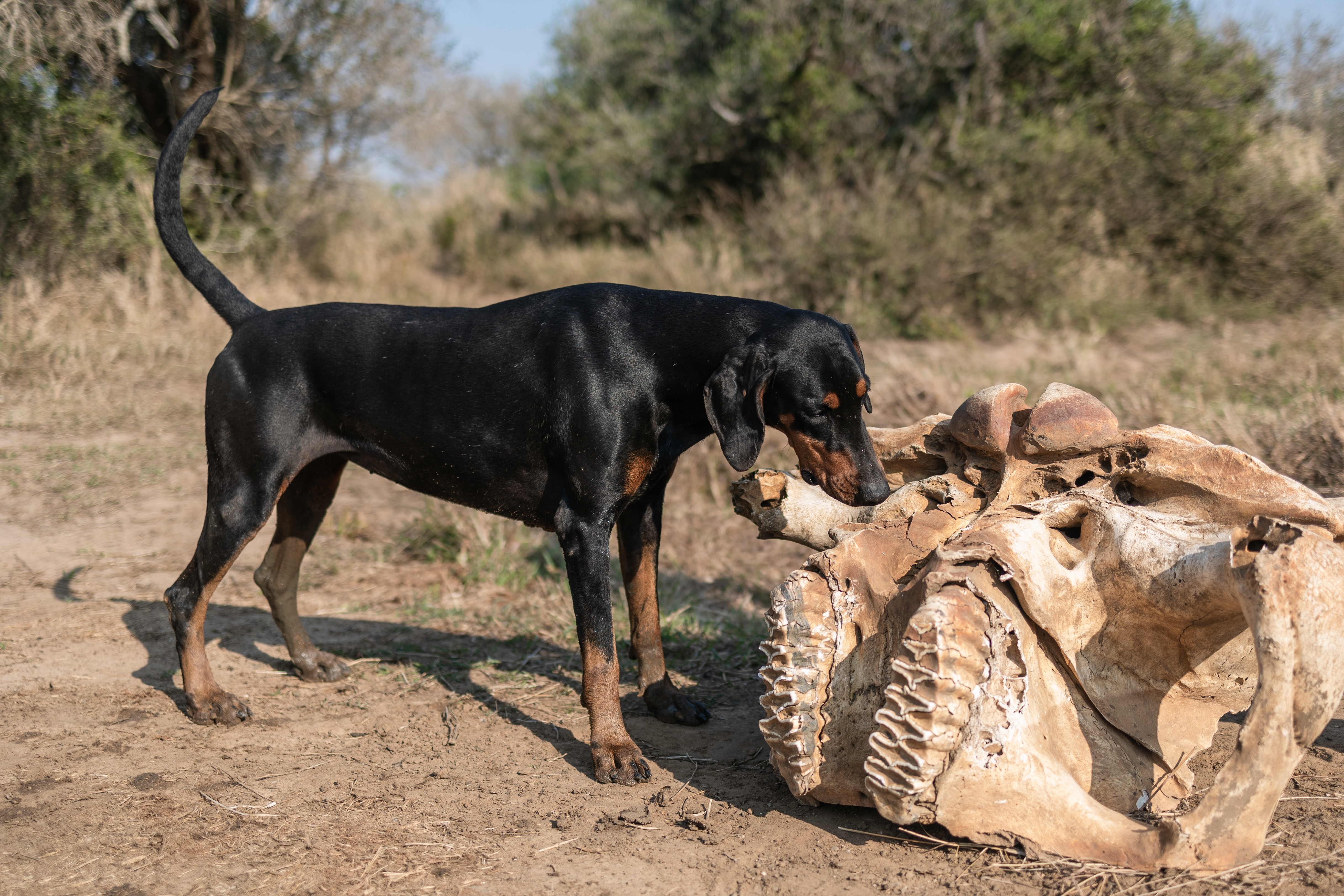 78bb41e6937afd821d8fd601fe670a57b79597c0