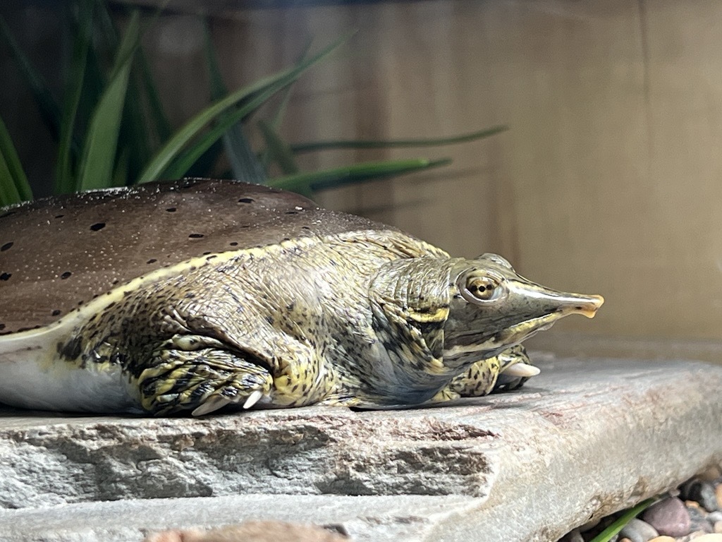 79c090dd63eca89805e01c4e59c9b8b206c0c7cf