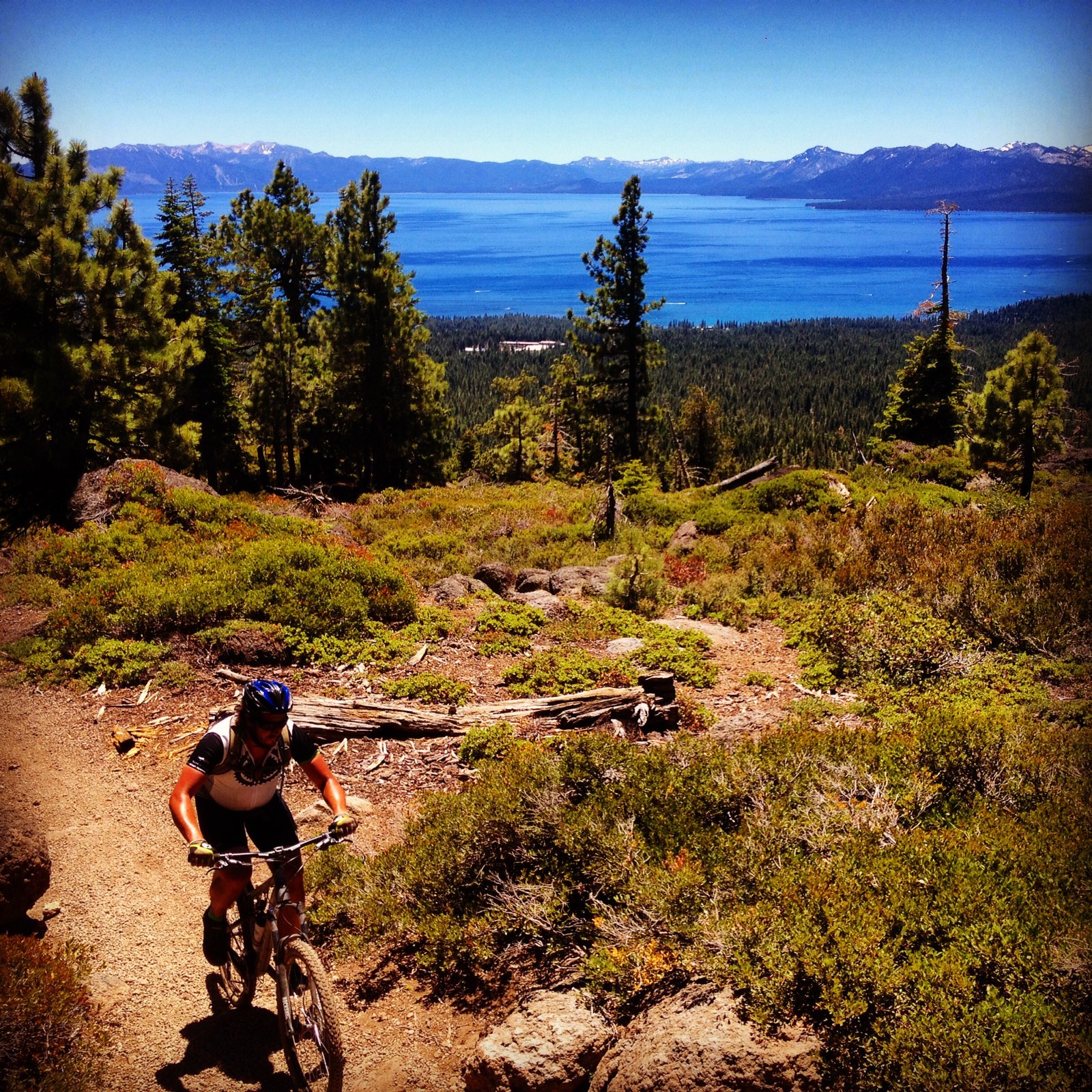 7b1601a7e49e7855f9e693ab51b9e5ecd76760dd