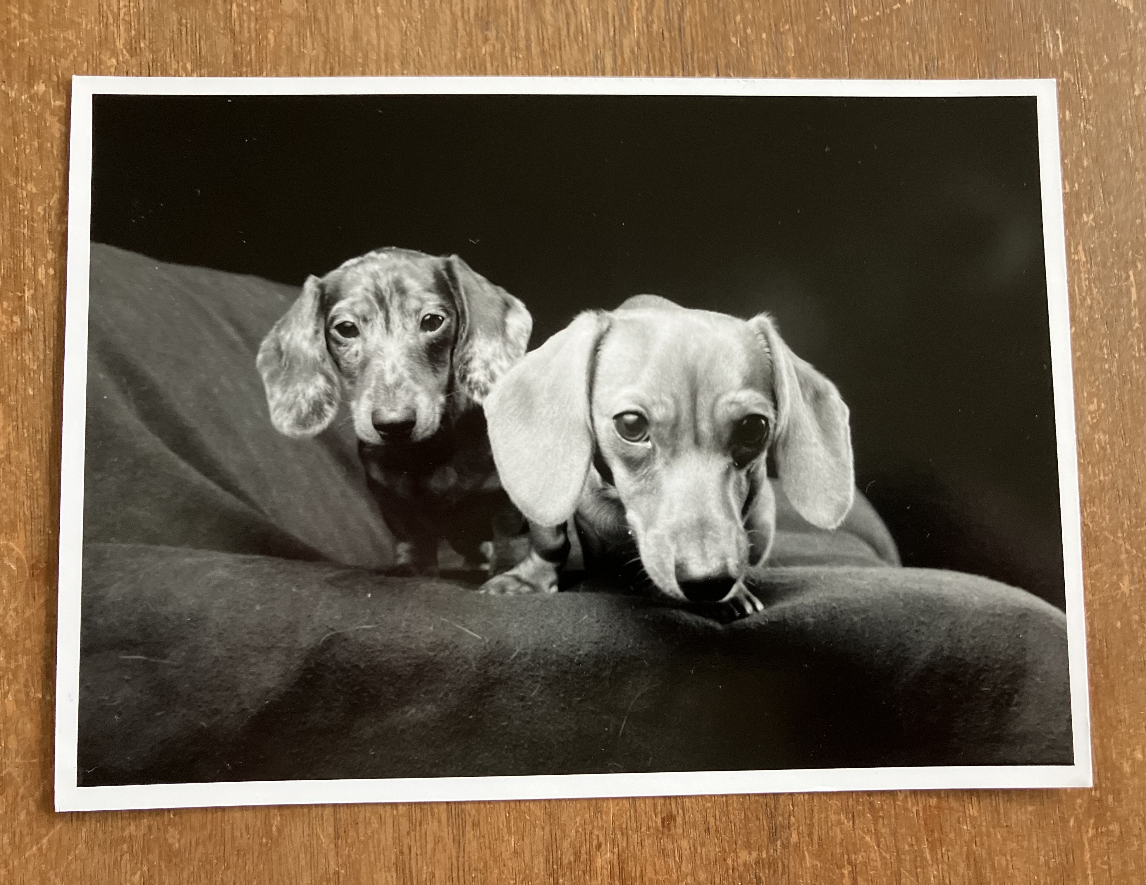 7e636eb88a10ba7671f86f7f8f048645cb8fe90d