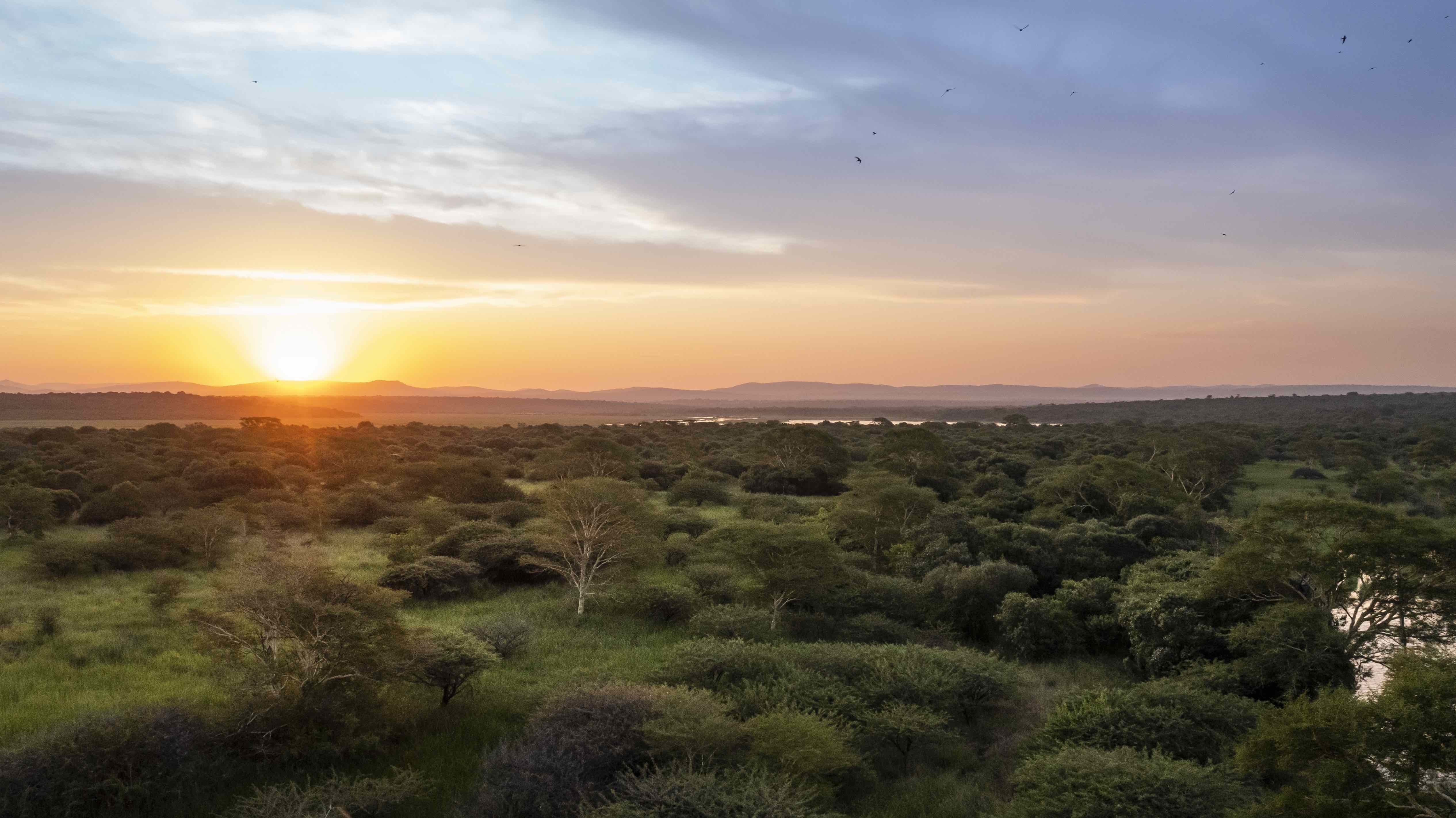 863fb531dc1b2e57ae44708e3c14a35cfe51296b