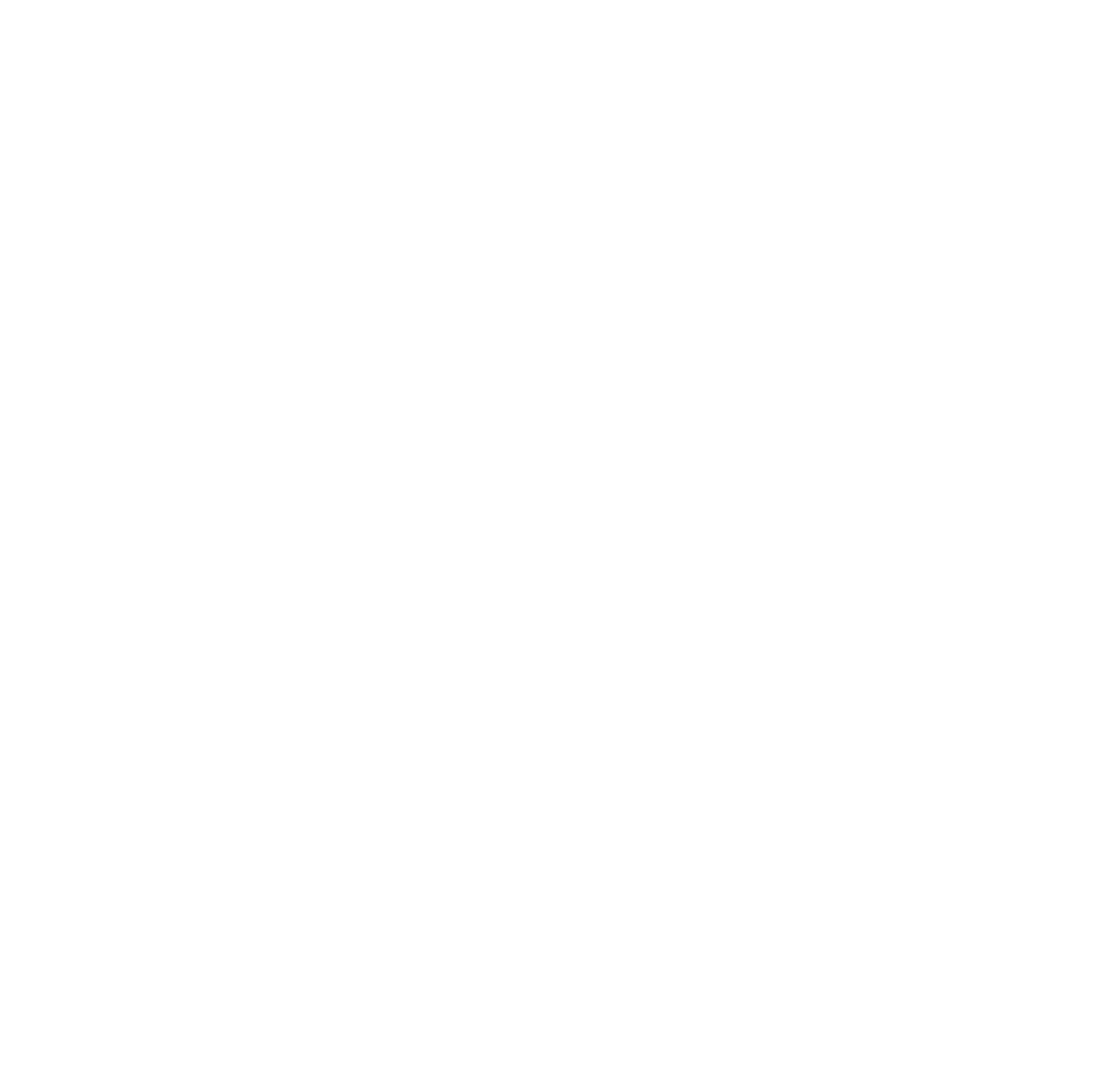 American Birkebeiner Ski Foundation