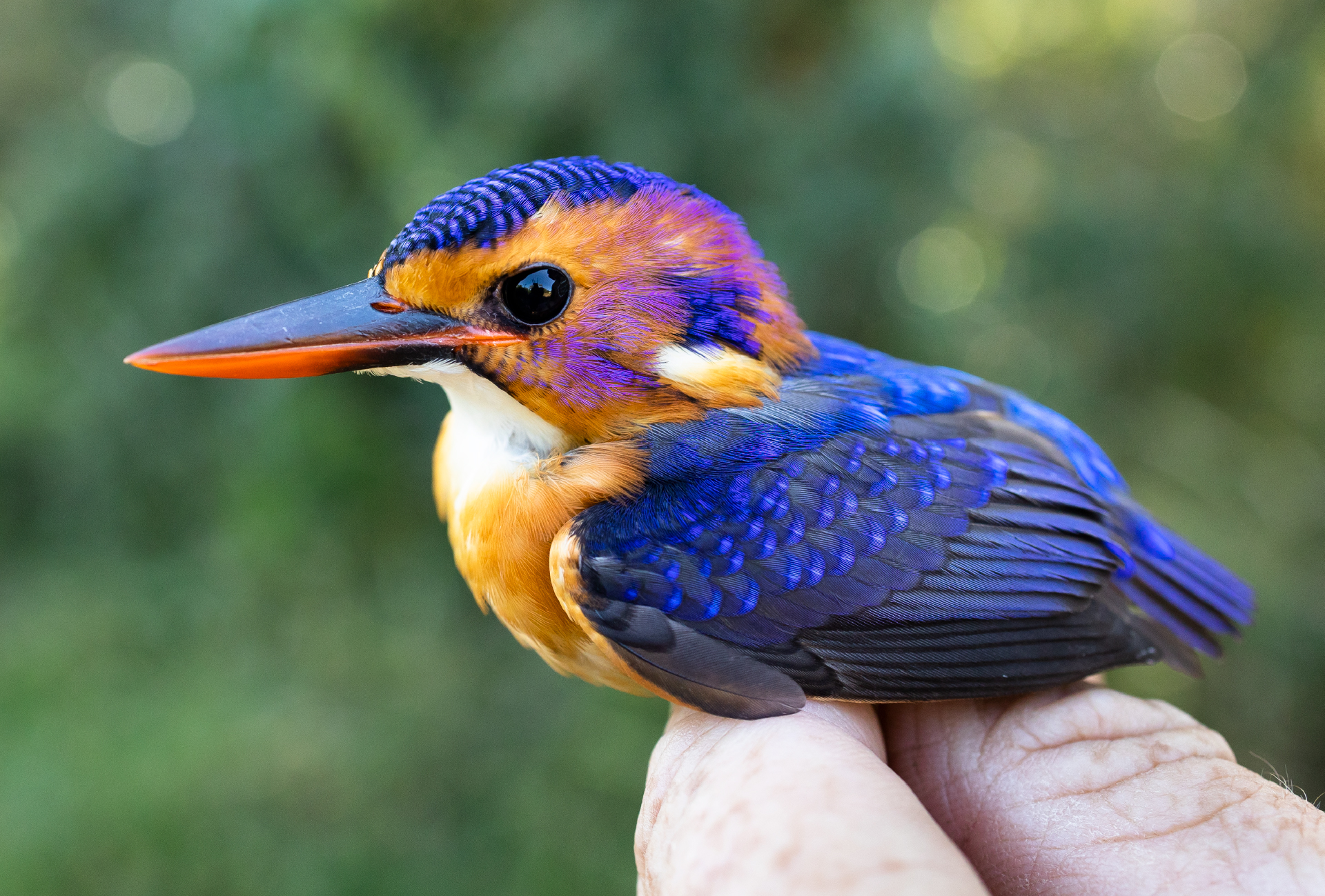 8c21052607189b3161d255b3a4037fb248d7d76b