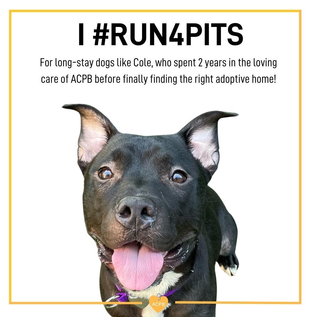 8d63a0b2c94955a822a55fa90fc9ac78fa5f9c26