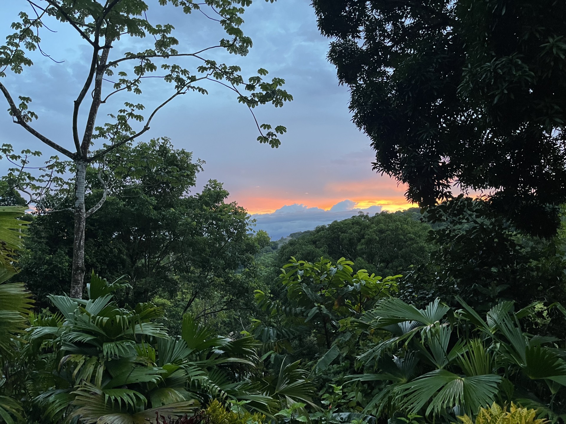 8d77074303c636b4800ccf88a1ecb6dfd9790ca8