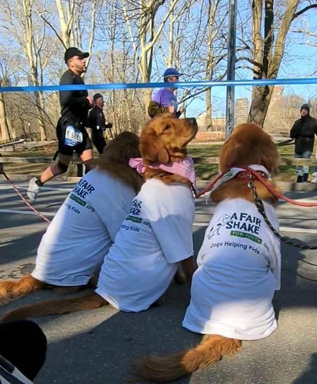 918d3ae591f1f78bf6e8d0fa70429d28bbf686bc