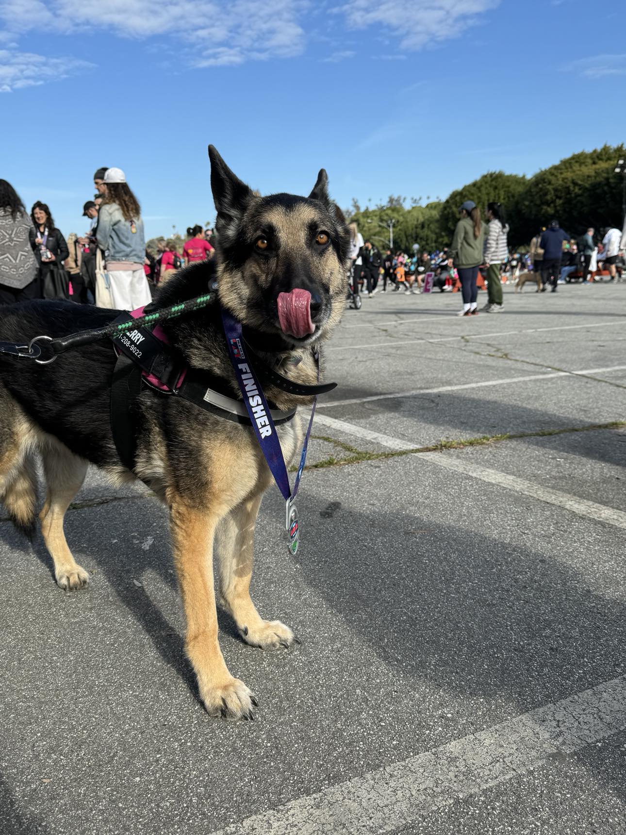 92956bd94d3be8a0f5d479ab3f3a23a88ef6a195