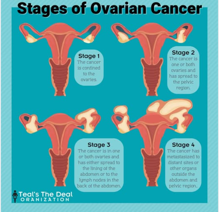 9366dc3de948de6f4142b7f3c375b0cade681b13