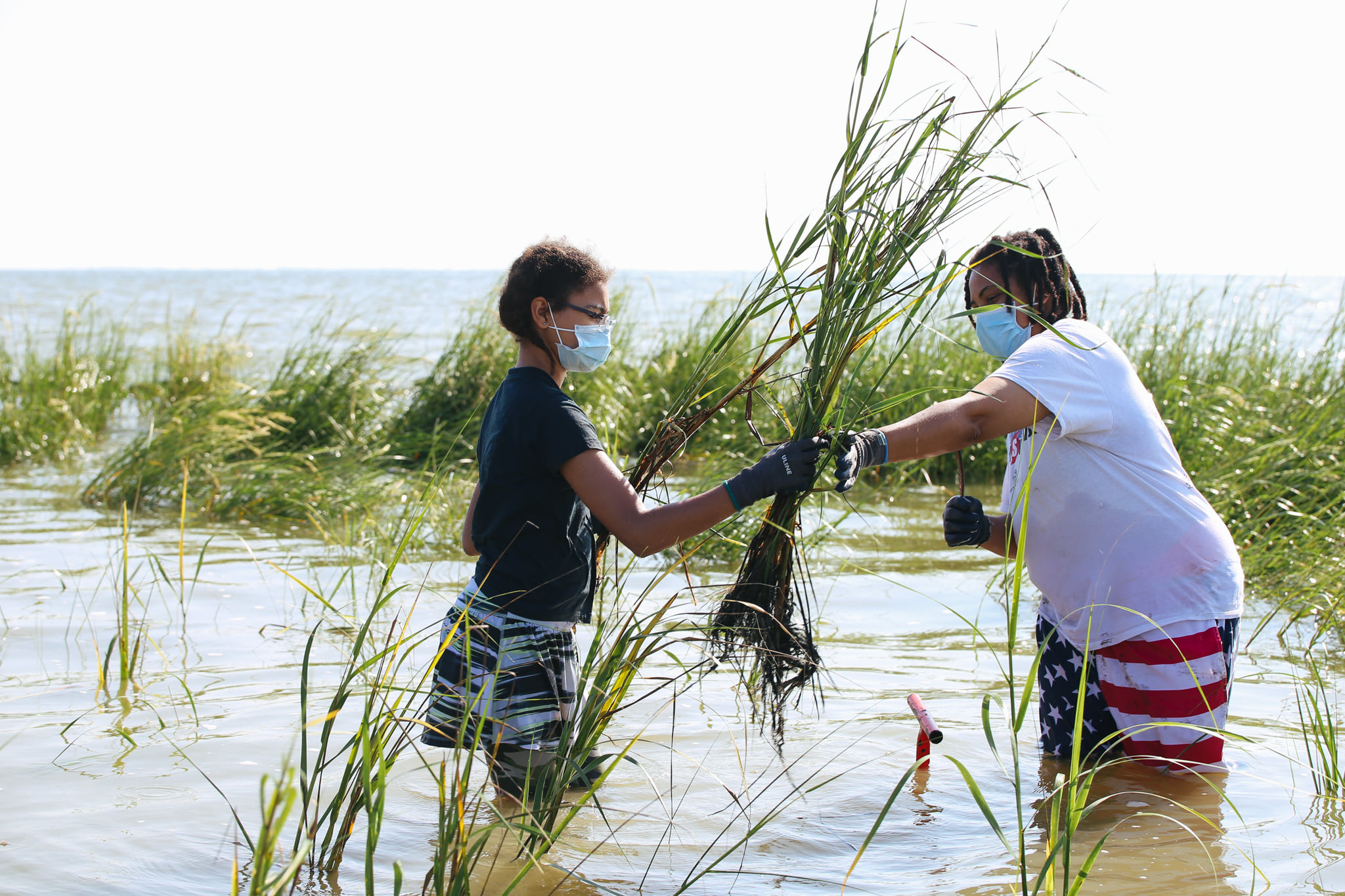 980fca20944cd1cda6189ebe018980e97e6ac150