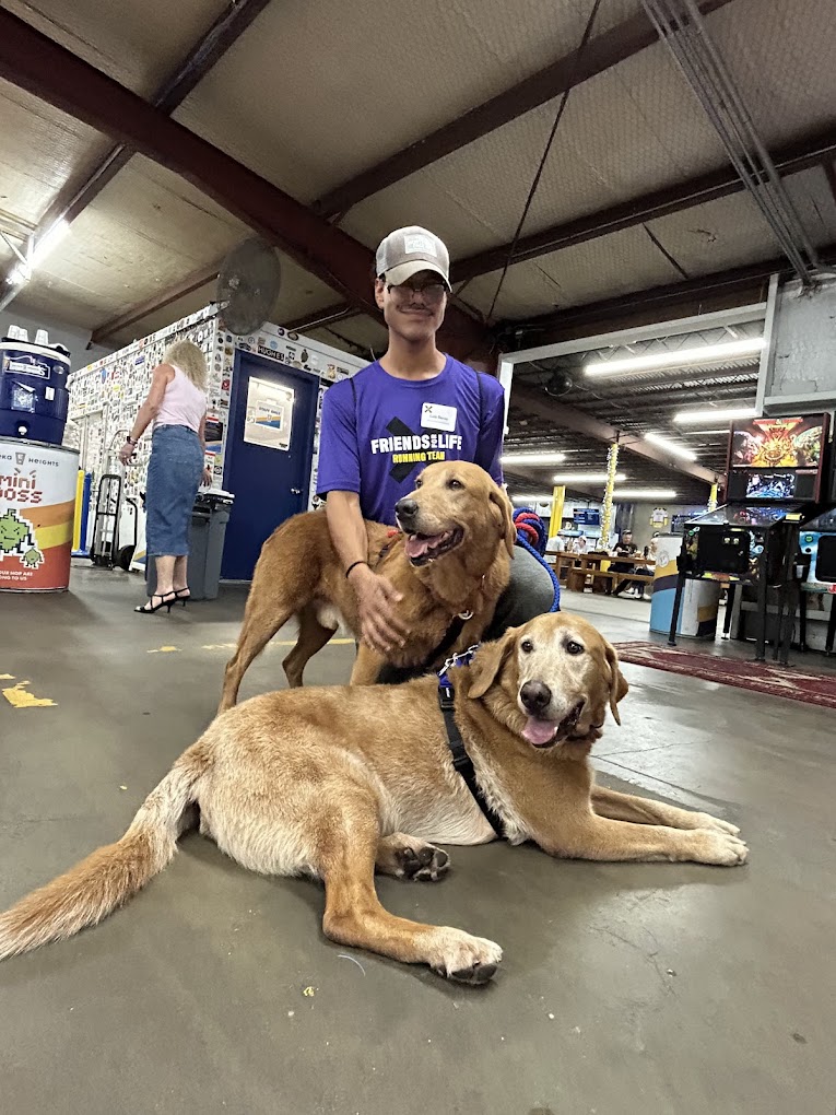 99e7d4dd7b1b25a25a46fad06a6e91651ce97dd0