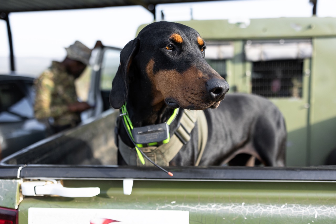 99fd23270abcf6b33bb491b6e7191b3470bc3c4a