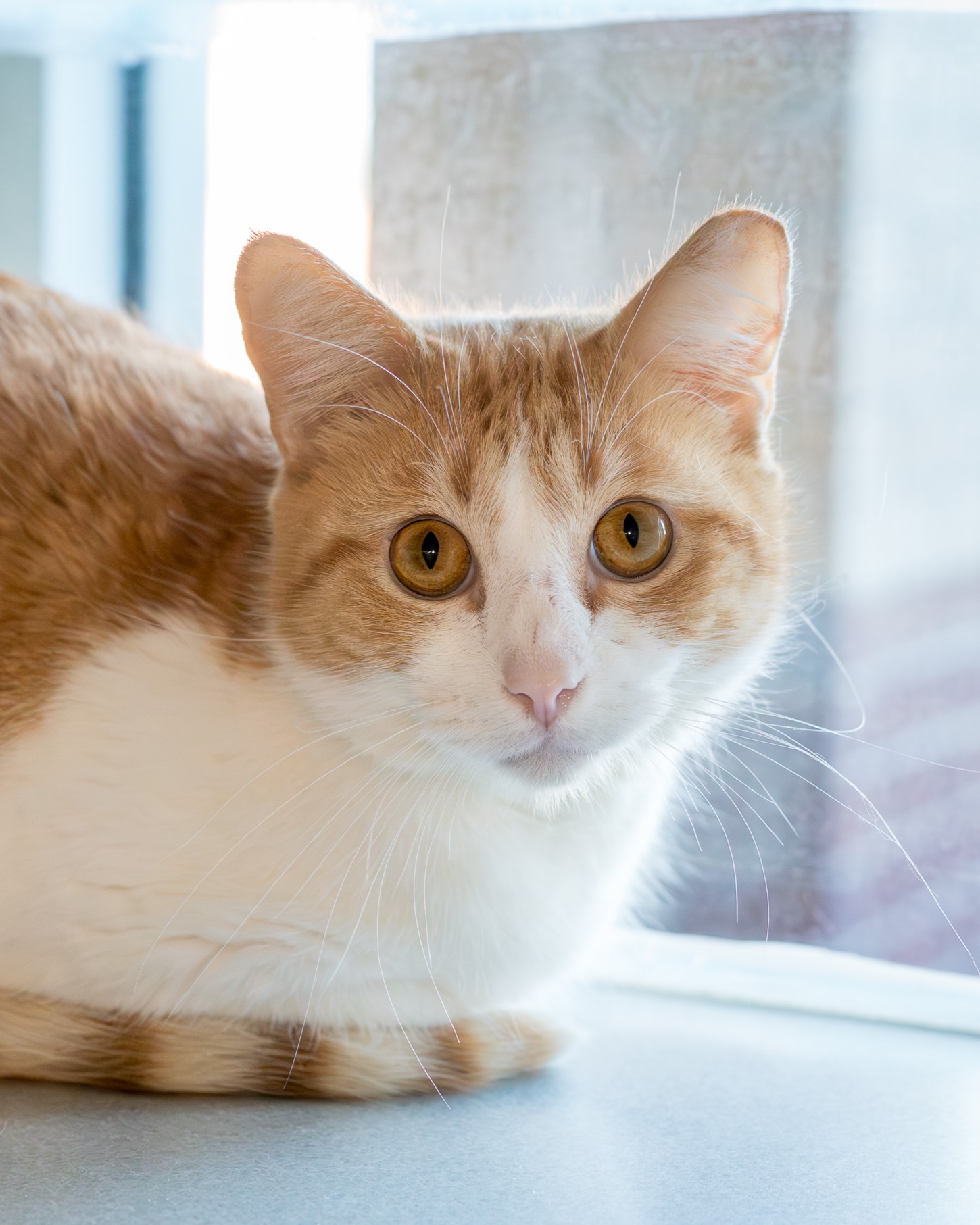 9b894c6ba73e172b22a3a761b21b84d416a00935