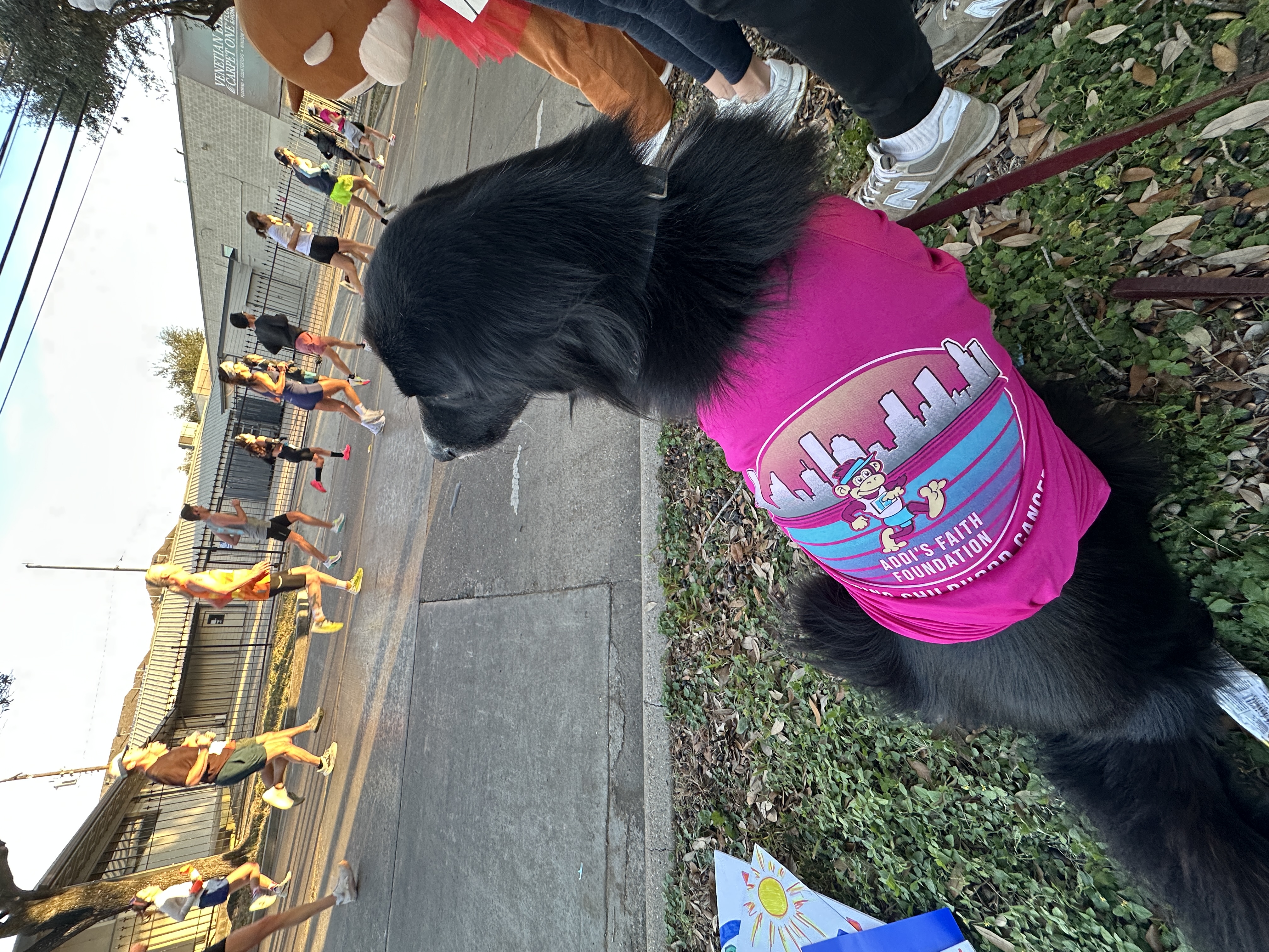 9bda4dd0f0f8725ebddefd931f1466395602bfd1