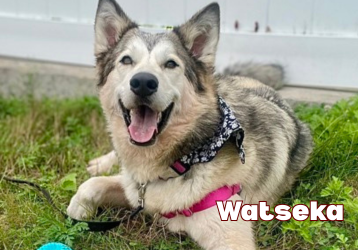 9c072e6dfbd228b1957985005fb49e42cb44bd02