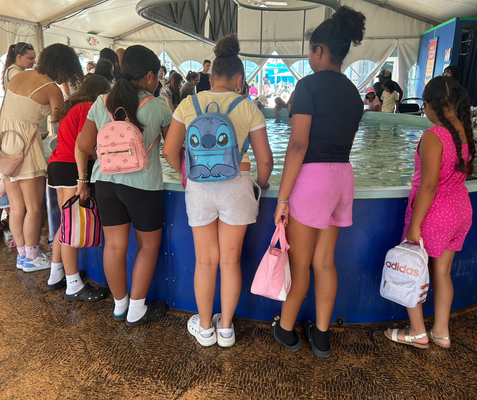 9c6dc1d1a5f425e707cbc4205ccafb035d70f030