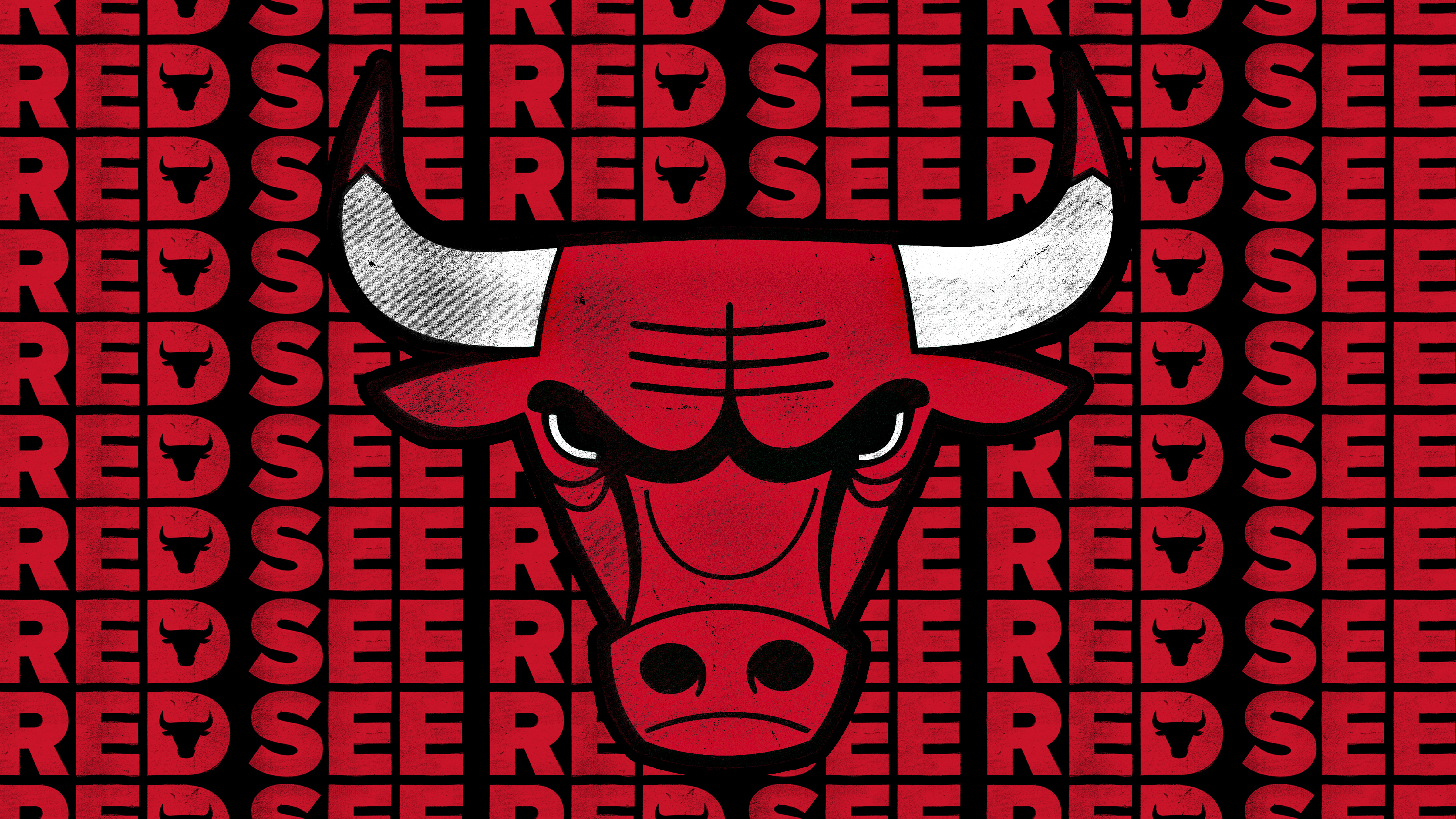 Chicago Bulls