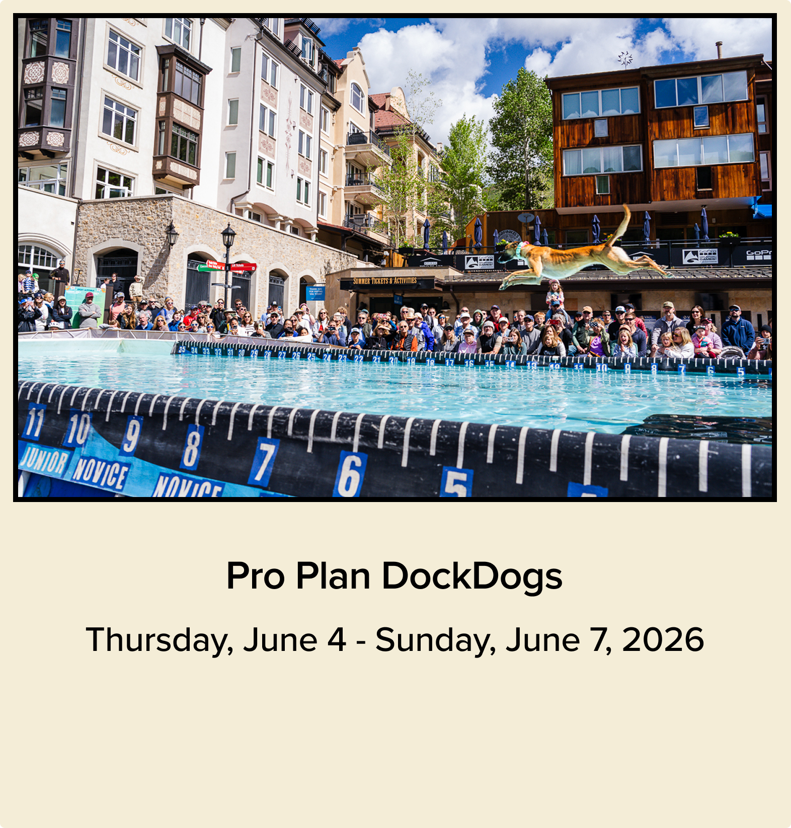 A0f6693304249b51e951e7a43a6489309ec49835