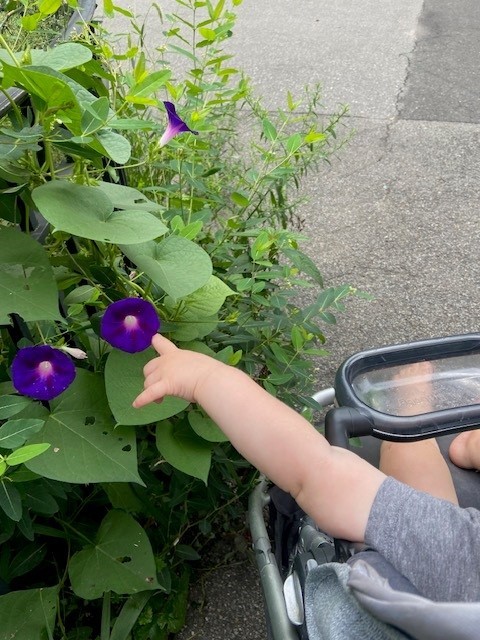 A474c1e290a9d223e6531ab75b351b16f9f47f6a