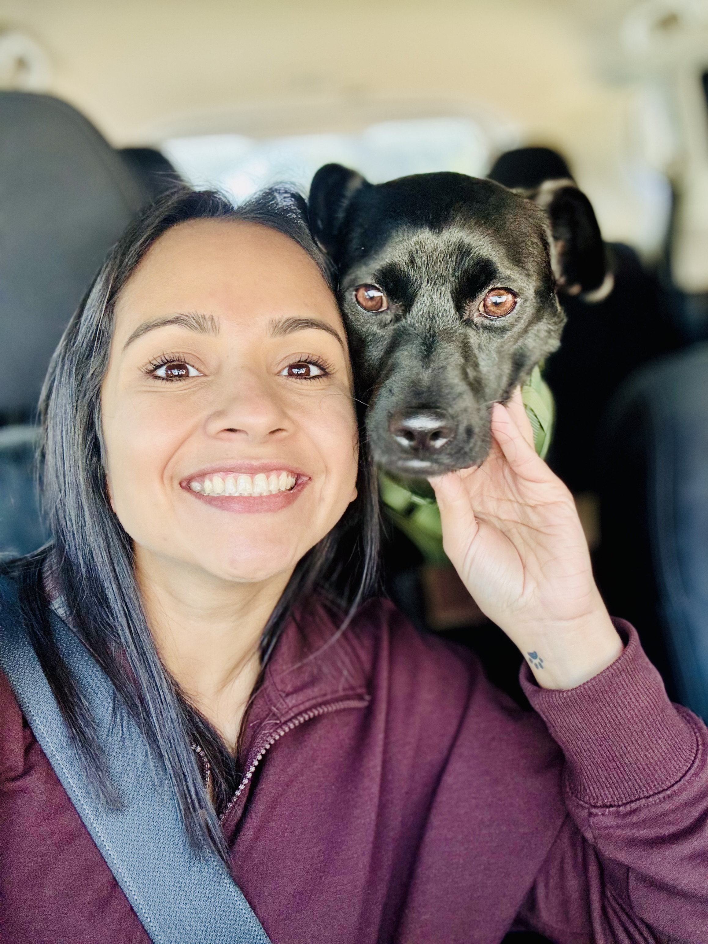 A78a7824846ed7982dad2220b71c8b7dad107064