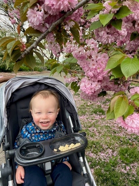 A9804d6f3e7a5367ae7791545498d8fab192f95d