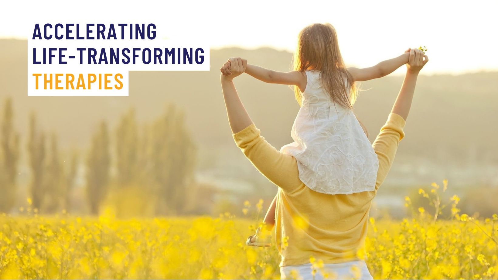 Ac0d6fb73ef748b6effc86e6756802981cd2765a