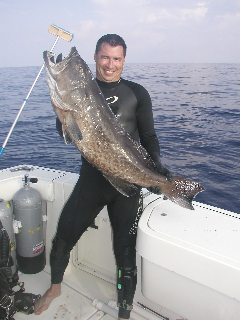 Ad3d357e401a91a8406fd64f67b380aae2dab0fc