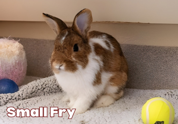 B088934c731b3b8443e0709c6498cd2b319c645d