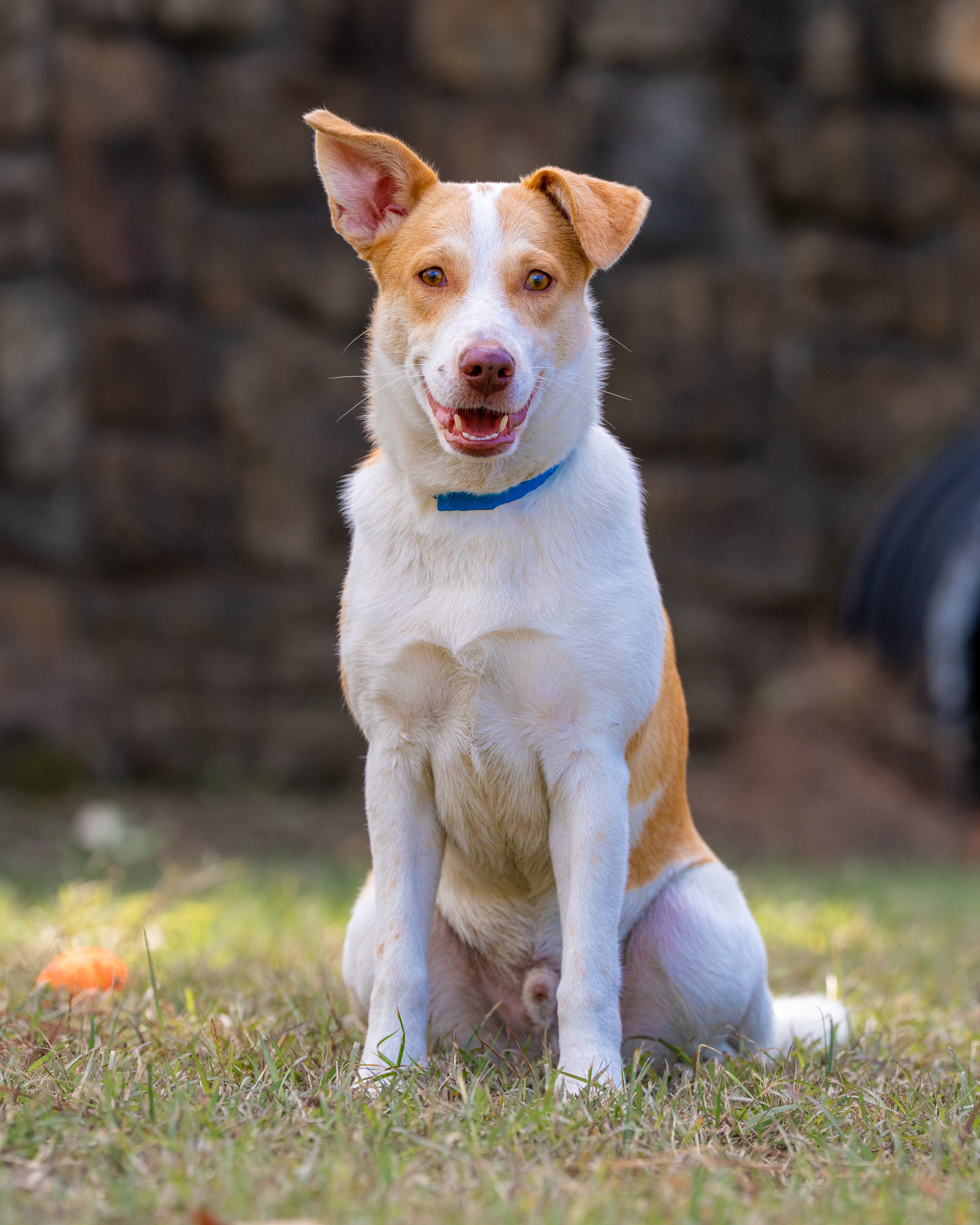 B430cb80b0604d9c31fdb6b2ebc91c51fb03dc19