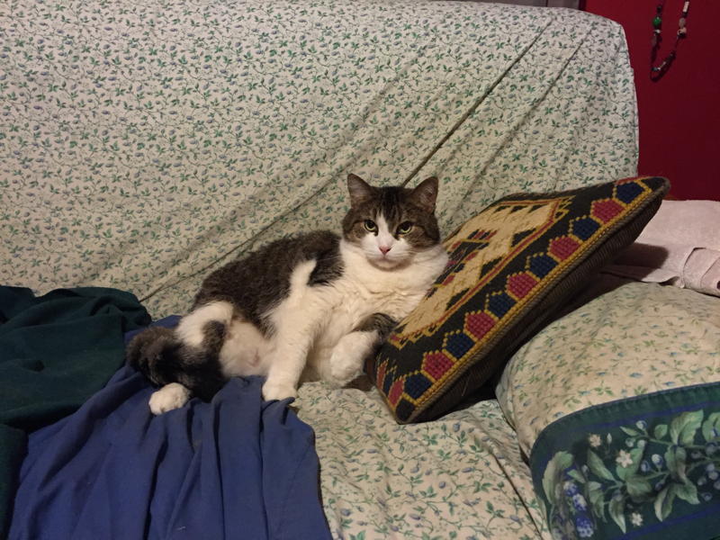 B5601946cb1e6779a16a8655849178659270de21