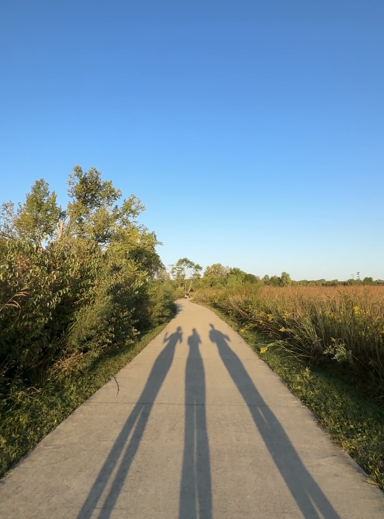 B7269aa950cbaa43e63ebc6ce1ef78bf0d601238