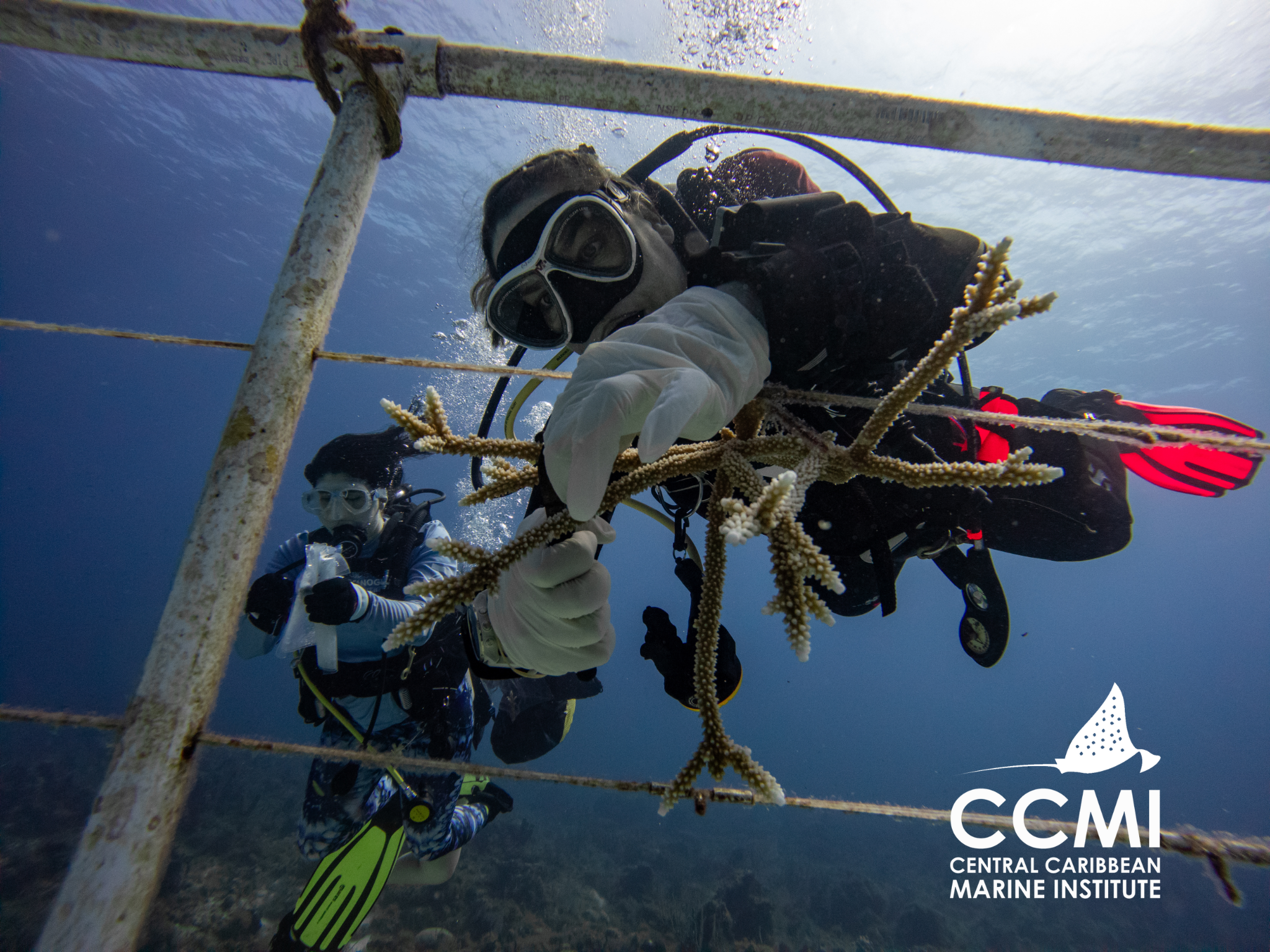 B801d8c3a3efec347532e2407115fd1ea9350386