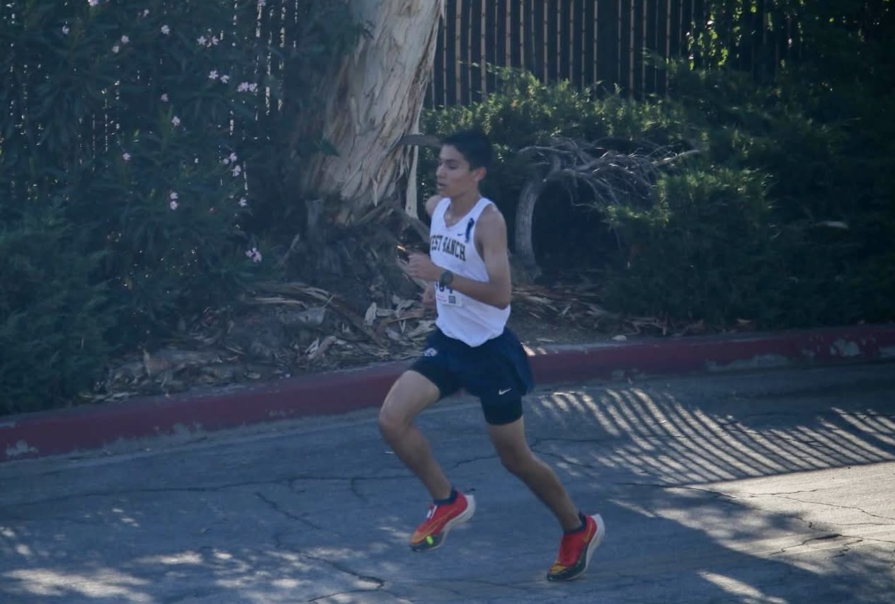 B8dad8f3066cb06ed1bb7a9224ef5e3c47a39ff9