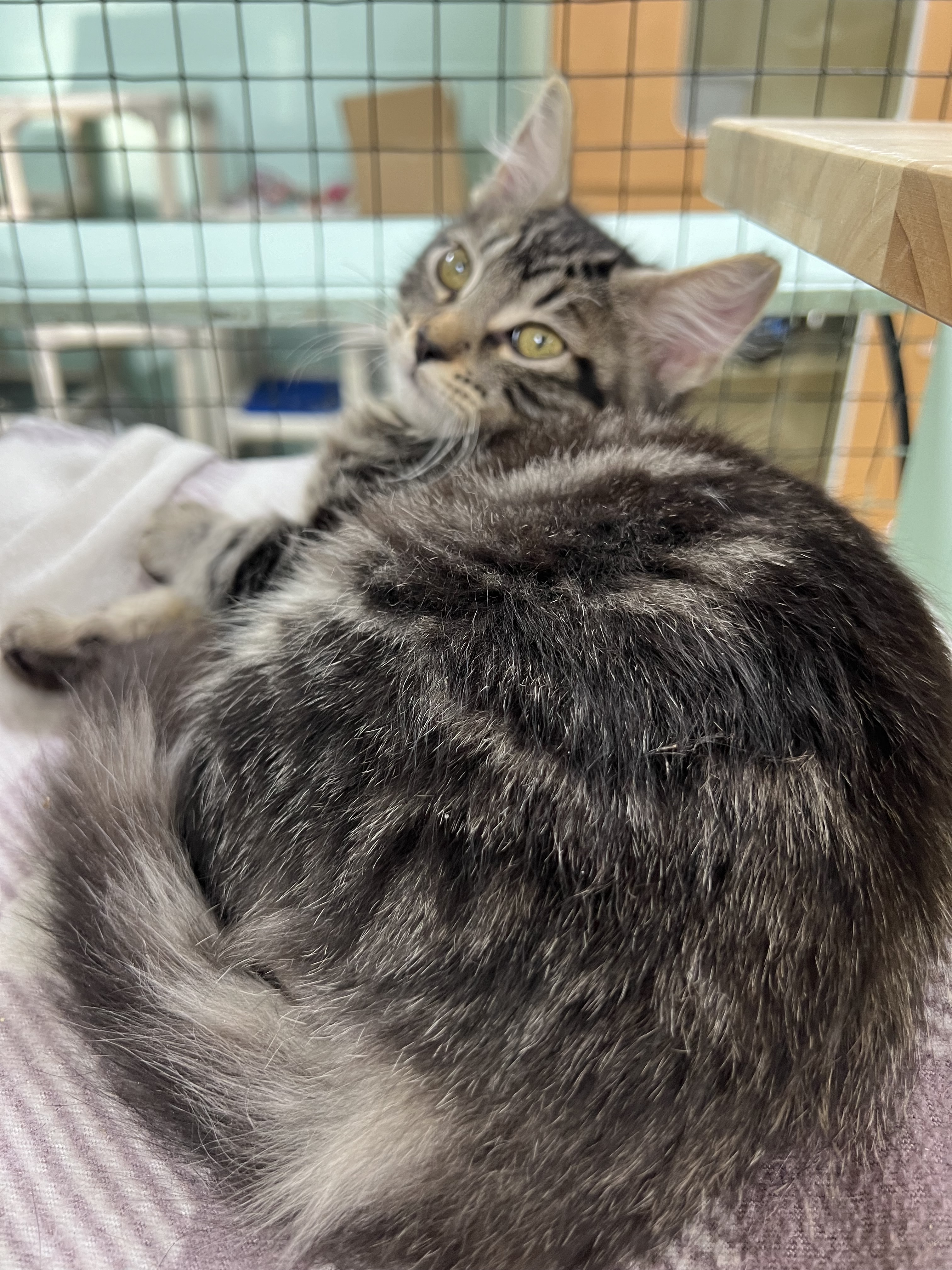 Ba9bd17ede2423de2144cadf4daa251795c0c741