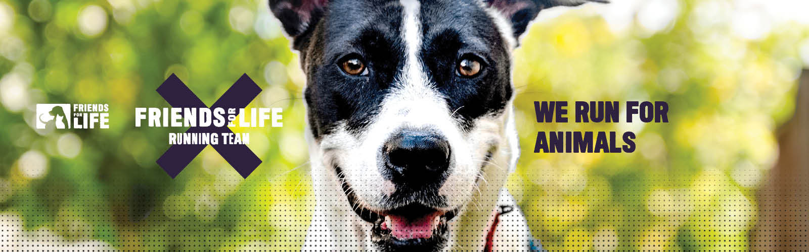 Bca72ed6e5fdb36fecae8306c6659af8ab802ba6