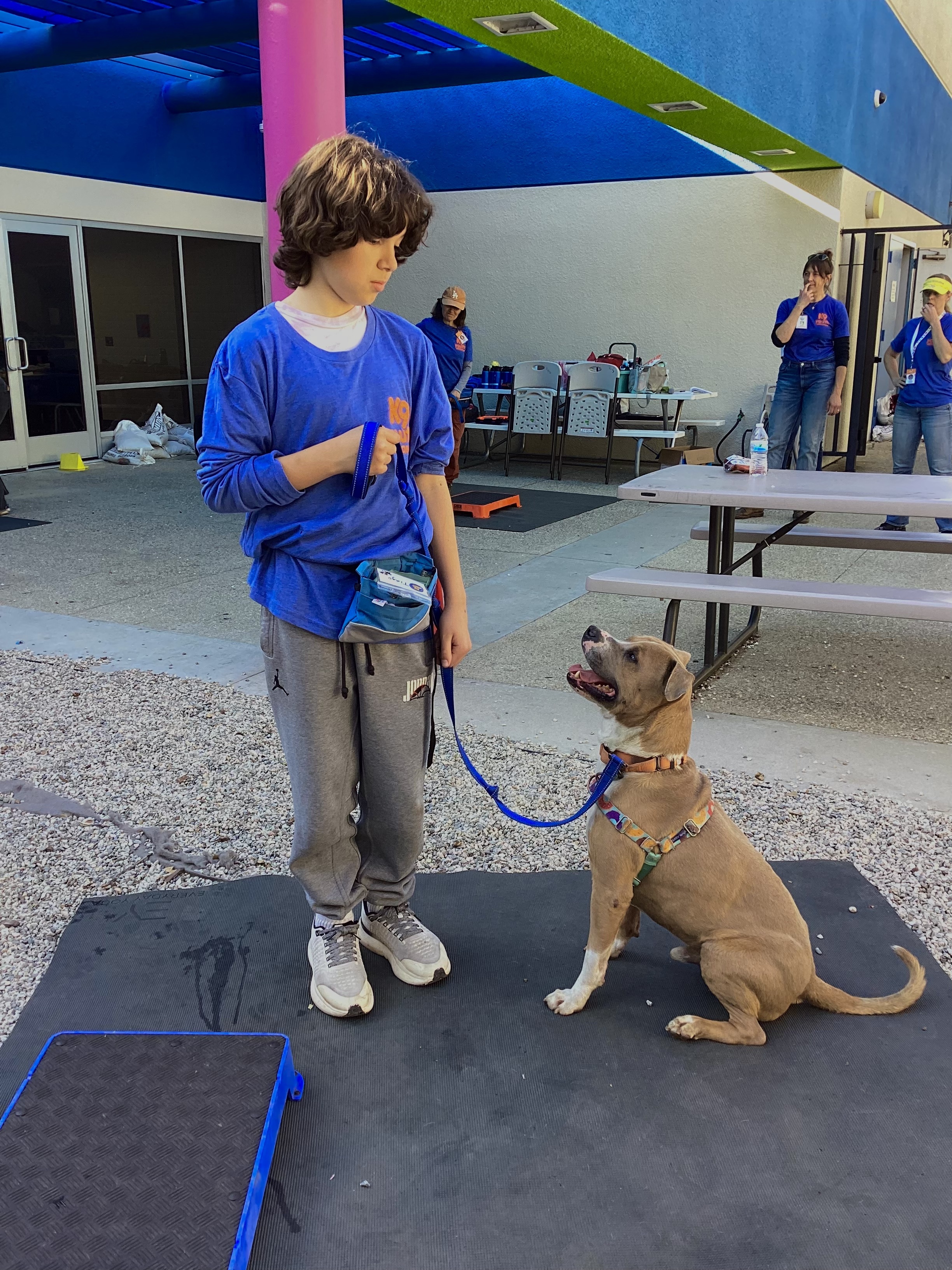 Bd9684c7bf3cf38311ff84f8c546b12471b949f5