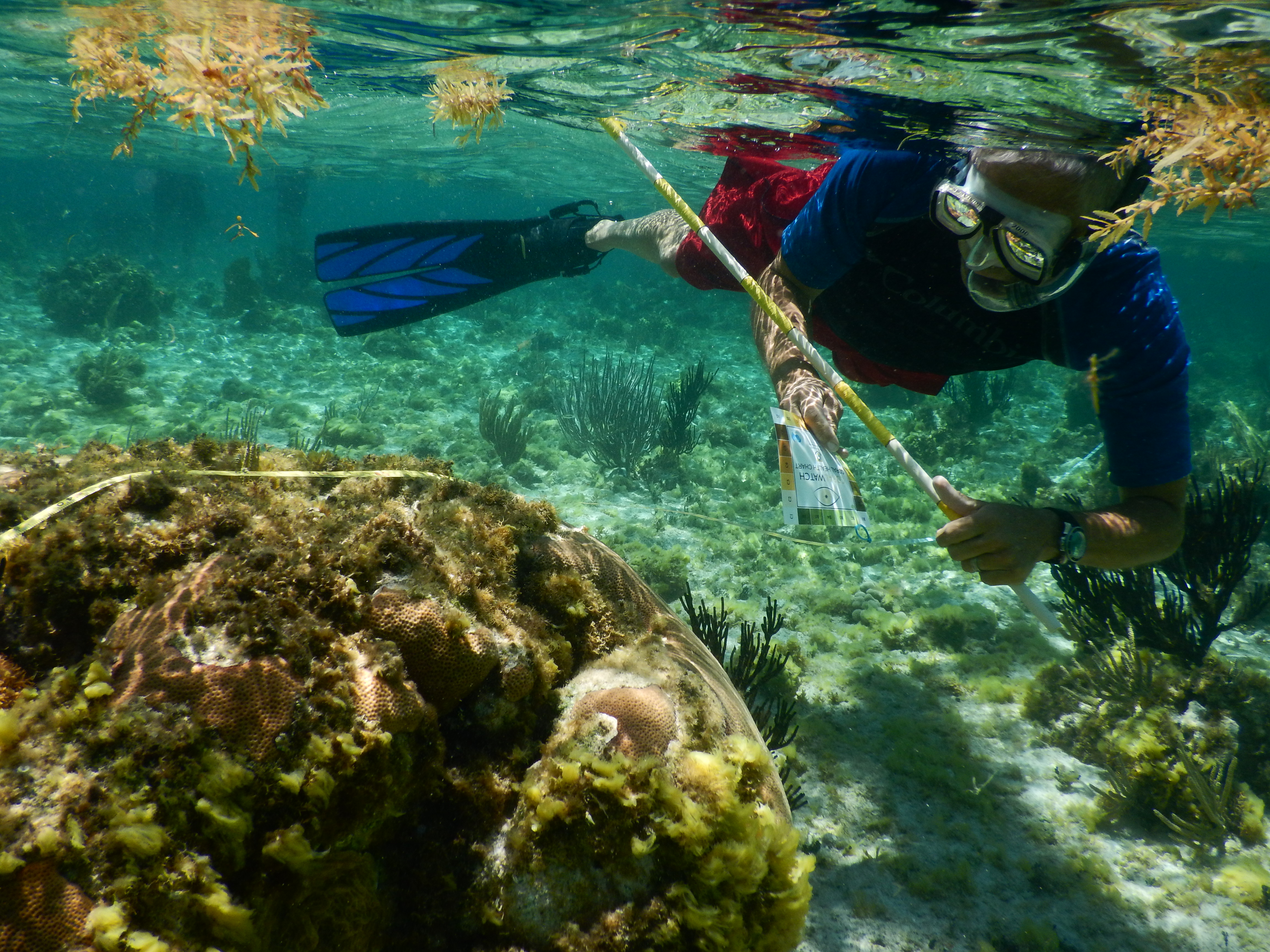 C44ff35d005d3197b3164a873011de5da5f7853f