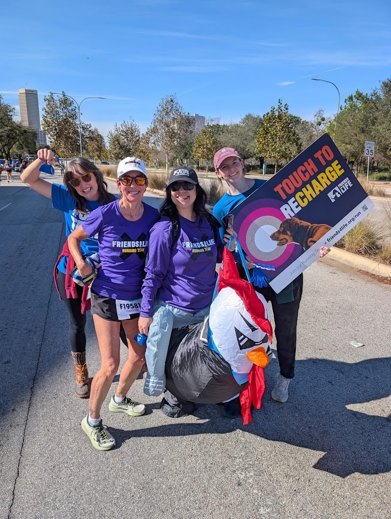 C68d54dc8d7db0b067ddc8ee54c6777a761536b8