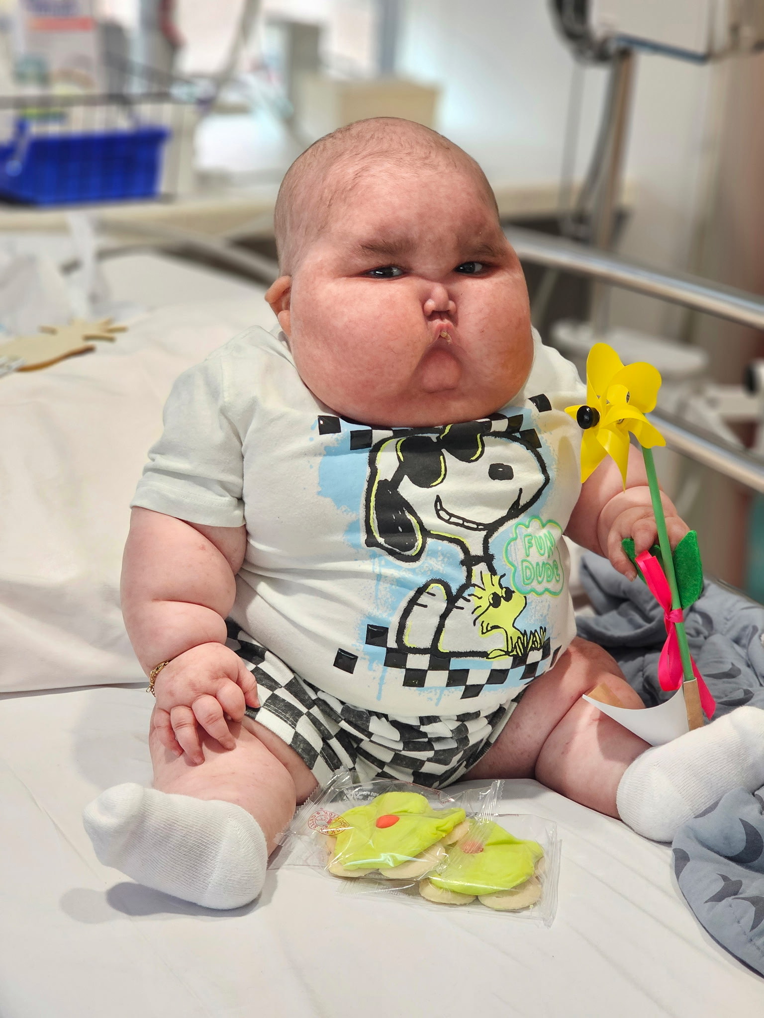 C6b77f6ece9b568f3d52e189124c820705a18cfe