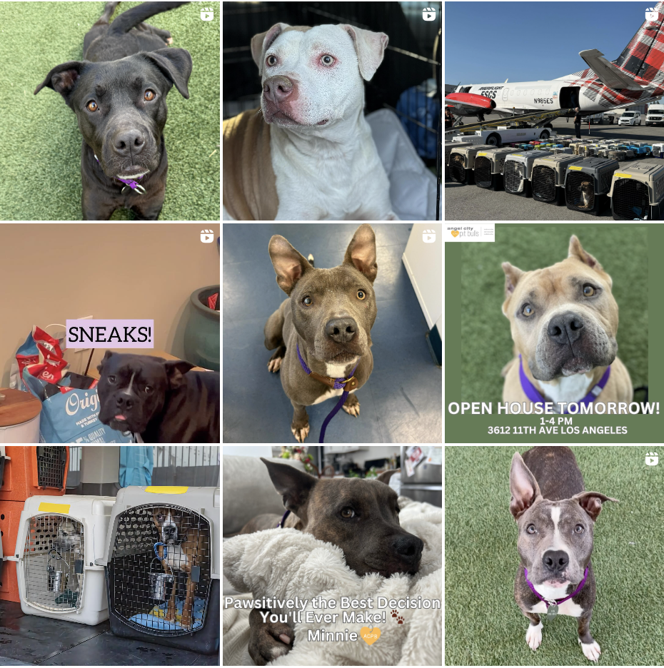 C79f81d9567d84cea8af5fa193fe58292e6913c8