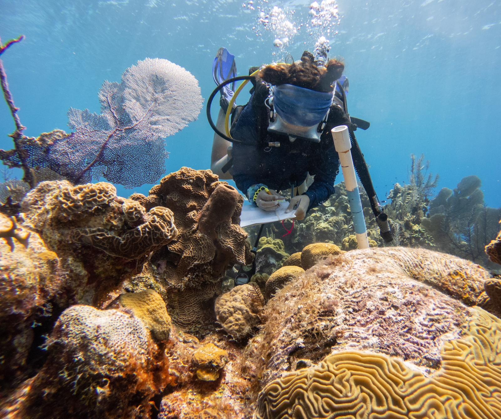 Cb283e9a360c4843a7d3b8560e824ceb3cad8129