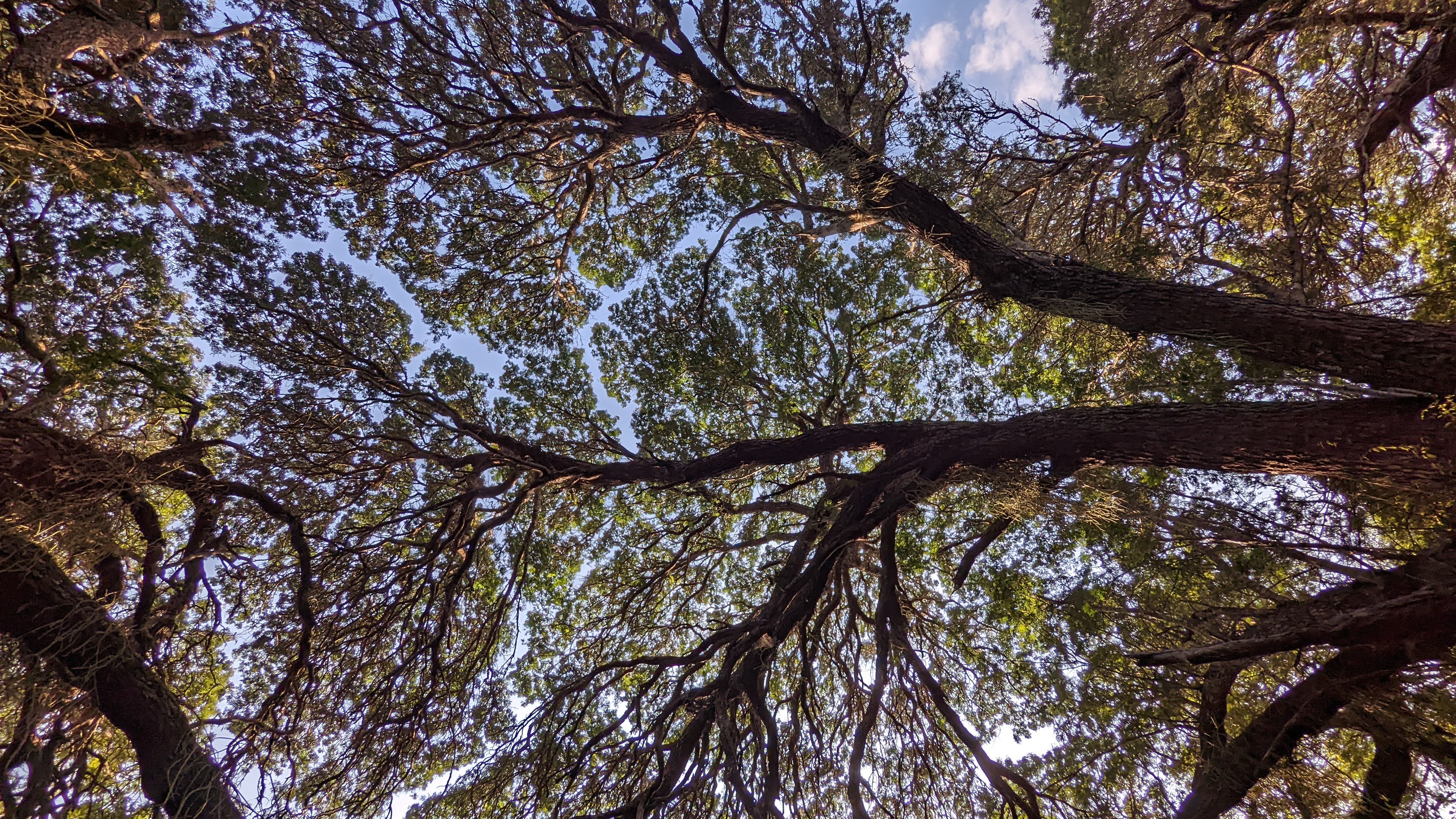 Cf901544012d2cc32ef1b9e5ffb63cf22813443e